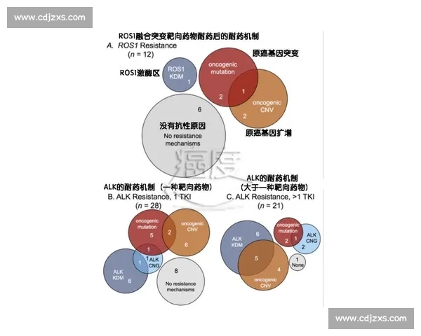 临场指挥在复杂环境中的决策作用与应急响应机制研究